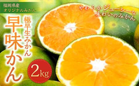 福岡県産 極早生みかん・早味かん 約2kg 早生 ミカン 果物 くだもの フルーツ 柑橘 かんきつ 【2025年9月上旬～9月下旬発送予定】