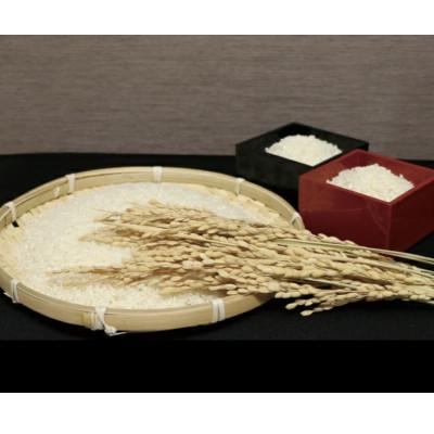 ふるさと納税 西脇市 【毎月定期便】兵庫県産 コシヒカリ(白米) 10kg全3回 |  | 02