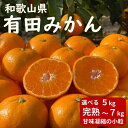 【ふるさと納税】【選べる内容量・7kg または 5kg】先行予約 和歌山県 有田みかん ひとくち 甘味凝縮 極小粒 産直43年 5代目 武内園 完熟蜜柑 | 有田みかん みかん ミカン mikan 有田 有田川 ありだ 和歌山 送料無料 フルーツ 果物 オレンジロード 本場 甘い 濃厚 コク 糖度