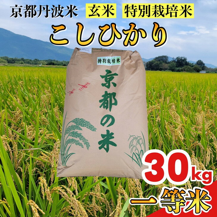 【ふるさと納税】【期間限定 生活応援】【令和7年産】京都丹波米 こしひかり 玄米 30kg 《米 一等米 コシヒカリ 特別栽培米 減農薬》※北海道・沖縄・離島への配送不可