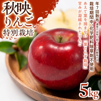 【濃厚な甘みと酸味】秋映(あきばえ) 5kg 1セット【1780231】