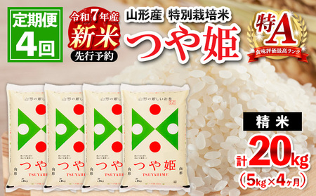 【定期便4回】 令和7年産 山形産 特別栽培米 つや姫5kg×4ヶ月(計20kg)【12月発送】 FZ25-087