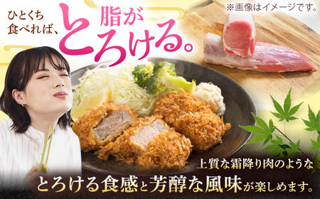 沖縄県産豚肉 ヒレ肉 3本入り (計1.5〜1.8kg) 豚 豚肉 ひれ肉 真空パック 小分け 冷凍 国産 沖縄市 / 宮城ふぁーむ[BCAJ012]