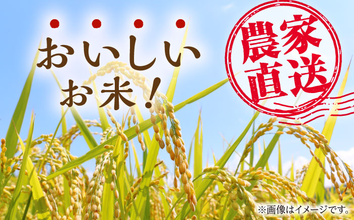 【10月より順次発送】【数量限定】ヒノヒカリ 白米 10kg （5kg×2袋）【竹下農園】 [ZEL001]