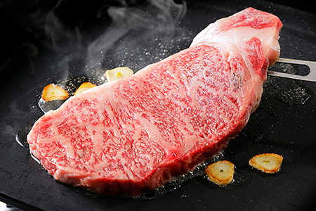 北海道　和牛肉　5・4等級　定期便　1年コース　サーロイン　ヒレ肉　焼肉　すき焼き　冷凍ハンバーグ｜十勝ナイタイ和牛定期便　1年満喫12ヵ月コース　［300-TN60］　※オンライン申請対応