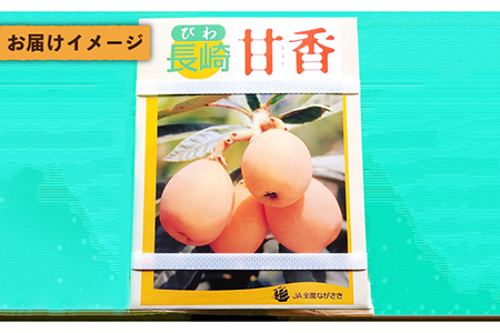 【数量限定】もぎたて！五島のびわ（甘香）化粧箱入 秀品 500g【ごとう農業協同組合】[PEM002]