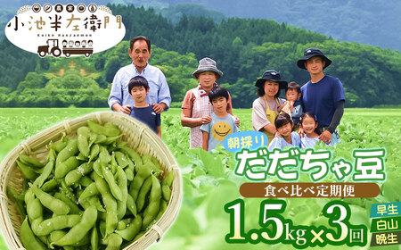 【令和7年産先行予約】朝採りだだちゃ豆（枝豆） 食べ比べ定期便 1.5kg (500g×3袋)×3回 お届け 早生・白山・晩生　小池半左衛門