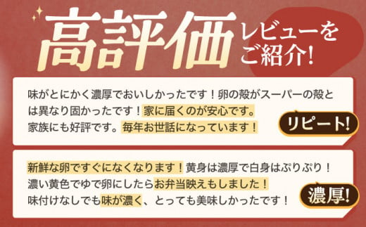 【12回定期便】産みたて新鮮卵 野中のたまご  80個×12回 計960個【野中鶏卵】[OAC009] / 卵 長持ち 濃厚 玉子 濃厚 卵料理 タマゴ 鶏卵 オムレツ 卵かけご飯 卵焼き 