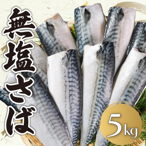 無塩さば 約5kg さば さば さば さば さば エドノフーズ 