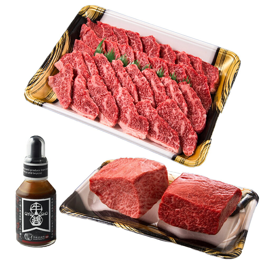 【ふるさと納税】《格之進》門崎 熟成肉 塊焼き & 焼肉 セット（赤身&霜降り）740g ＋ 牛醤1本 プレミアム 送料無料 無添加 高級 国産 牛肉 肉 岩手 一関 贈り物 ギフト お取り寄せ 冷凍 人気 バーベキュー BBQ 塊焼き