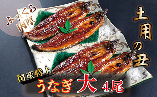 国産！特上うなぎのかば焼き 約200g × 4尾