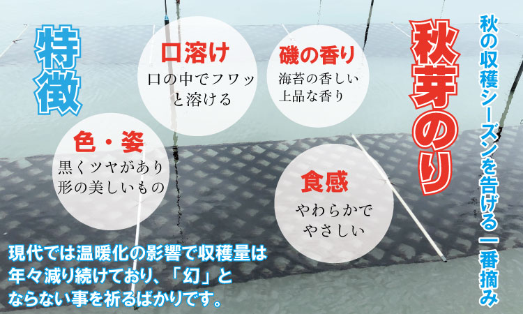 【先行予約開始】幻の秋芽有明海苔（塩・焼き）セット　ひので水産  のり 焼き海苔 味のり 焼海苔 おつまみ海苔 おにぎり 佐賀県産 佐賀のり 送料無料 高級 有明海 詰め合わせ ギフト 食品 人気 ラ