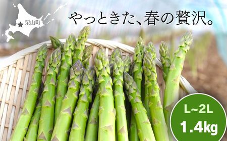 北海道産「春一番！グリーンアスパラガス」L～2Lサイズ以上1.4kg