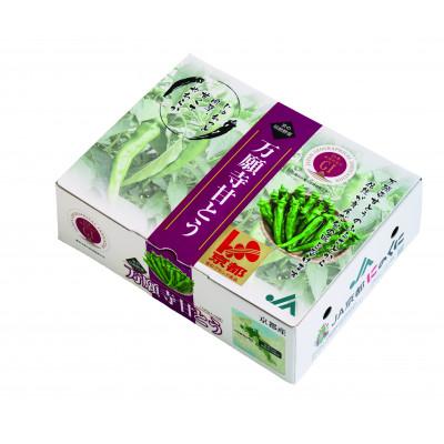 ふるさと納税 舞鶴市 甘い!美味い!辛くない!京のブランド産品「万願寺甘とう」化粧箱(150g袋×8袋) |  | 01