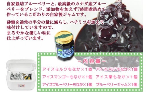 ＜自家製アイスクリームとブルーベリージャムのセット＞2か月以内に順次出荷 アイス ジャム セット ブルーベリー