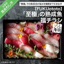 【ふるさと納税】【FUKUototo】「至極」の熟成魚 福チラシ