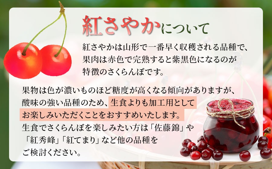 【令和8年産先行予約】【訳あり】さくらんぼ 紅さやか L～2Lサイズ混合 バラ詰め 800g（200g×4P）鶴岡市産　大膳農園