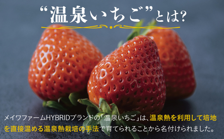 【1610】鳥取県産とっておき「温泉いちごJUNBEERRY」