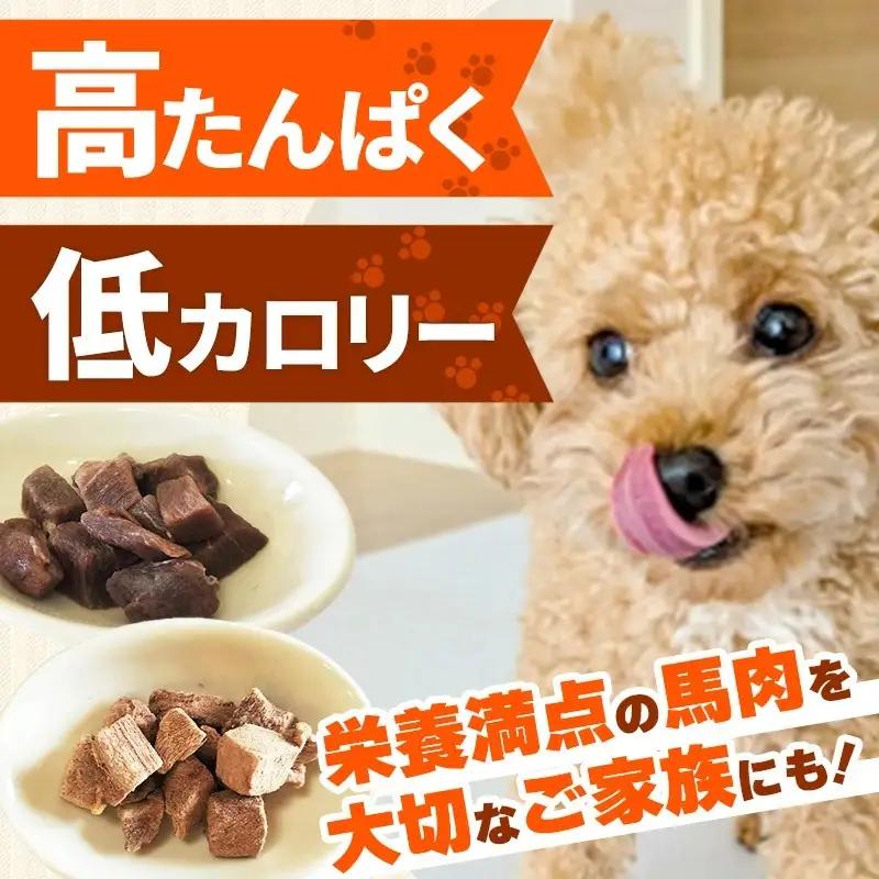 【定期便6回】 馬肉100％ 犬猫用おやつ 25g×3袋 - フリーズドライ ペット 健康 おやつ