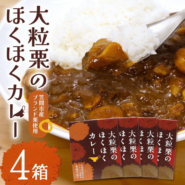 【ふるさと納税】 大粒栗のほくほくカレー 大粒 230g×4箱