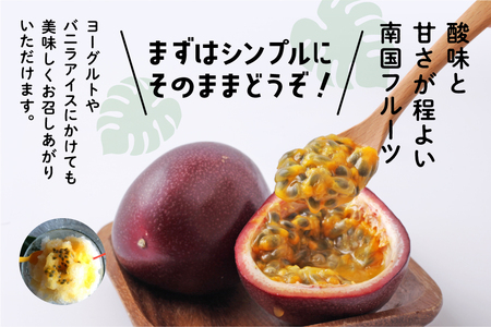 【先行予約】《令和8年産》 種子島産パッションフルーツ 2ケース ( 24個入り ) パッションフルーツ 果物 フルーツ 食品 グルメ お取り寄せ お中元 人気 おすすめ 返礼品 南種子町 鹿児島 か