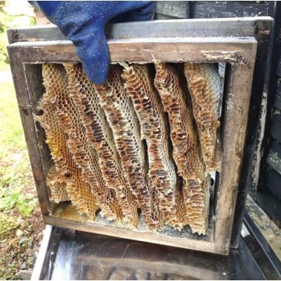 ふるさと納税 小川村 国産日本ミツバチ熟成はちみつ　百花蜂蜜210g*392 |  | 02