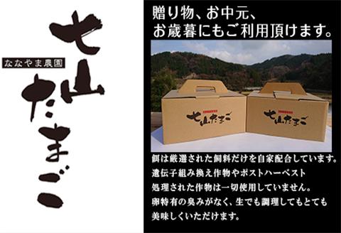 放し飼い！七山たまご 40個箱×2(合計80個) (大玉) 玉子 生卵 鶏卵 佐賀県唐津産