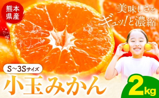 先行予約 小玉みかん 2kg 旬 みかん《9月下旬-12月下旬頃出荷》熊本県 南関町 ご家庭用 熊本県産 S-3Sサイズ フルーツ 柑橘 温州みかん 早生 中生 晩生 ジュース ゼリー 訳あり 小玉 熊本