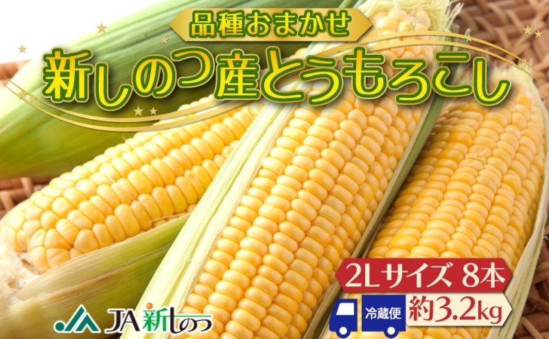 北海道 新しのつ産 とうもろこし 黄色 2L 8本 トウモロコシ 