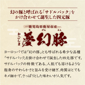 2773 かごしま 夢幻豚 餃子 12個 × 5P KN021-037-01 肉 豚肉 惣菜 総菜