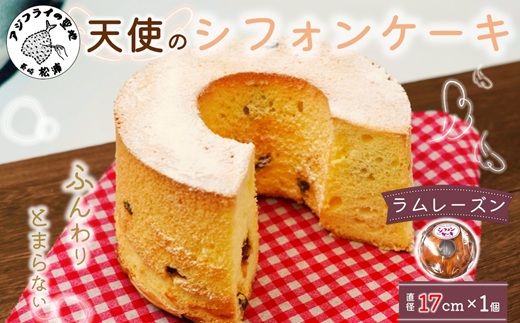天使のシフォンケーキホール17cm ラムレーズン ( シフォンケーキ ラムレーズン ふんわり 甘さ控えめ 優しい 手作り アレンジ自在 スイーツ )【A5-014-06CV】