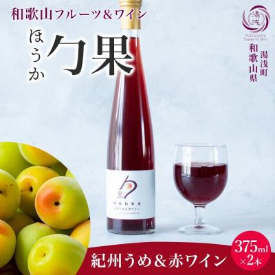 ふるさと納税 湯浅町 ワインカクテル 勹果 ほうか 紀州うめ&amp;赤ワイン 7度 375ml 2本 湯浅ワイナリー
