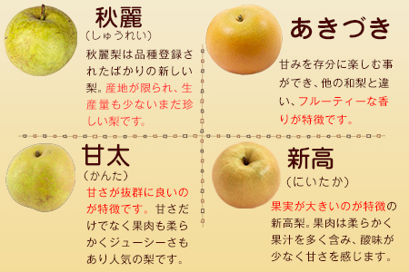 上田果樹園の元祖！玉東梨(旬の品種をお届けします)約5kg(8玉-16玉) 《7月下旬-9月下旬頃出荷》 ｜ブランド梨 人気梨 特産品梨 熊本県梨 玉東町梨 大人気返礼品