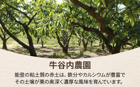 【先行予約】牛谷内農園の能登栗~低温熟成させたあま~い能登栗~【2025年9月中旬より順次発送】/ 能登半島 奥能登 くり 生栗 マロン 和栗 焼き栗 栗ごはん 焼き栗 国産 果物