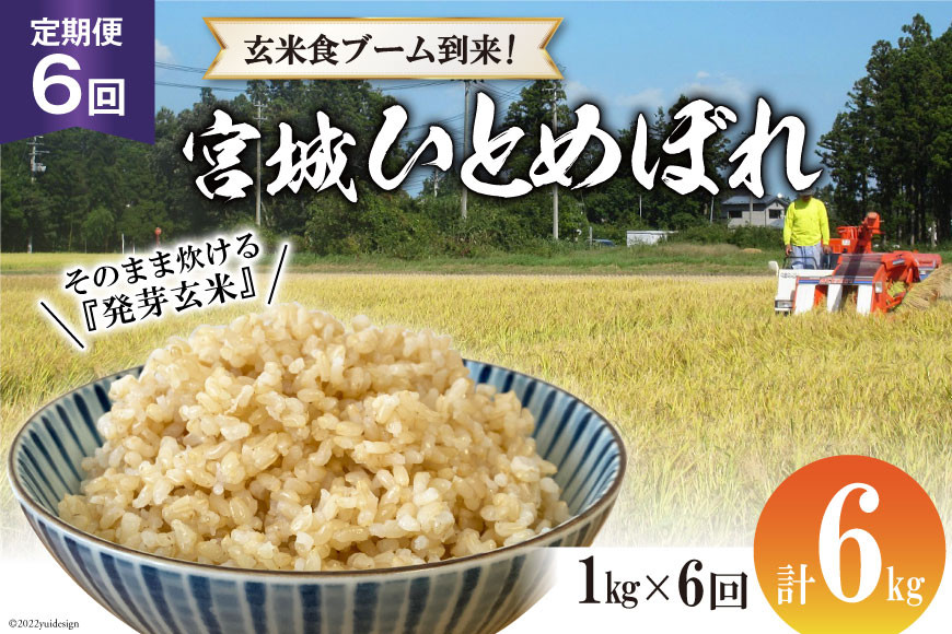 
定期便 6ヶ月 簡単に炊ける 宮城県産 ひとめぼれ 発芽玄米 計6kg(1kg×6回) [菅原商店 宮城県 加美町 44581382] お米 米 玄米
