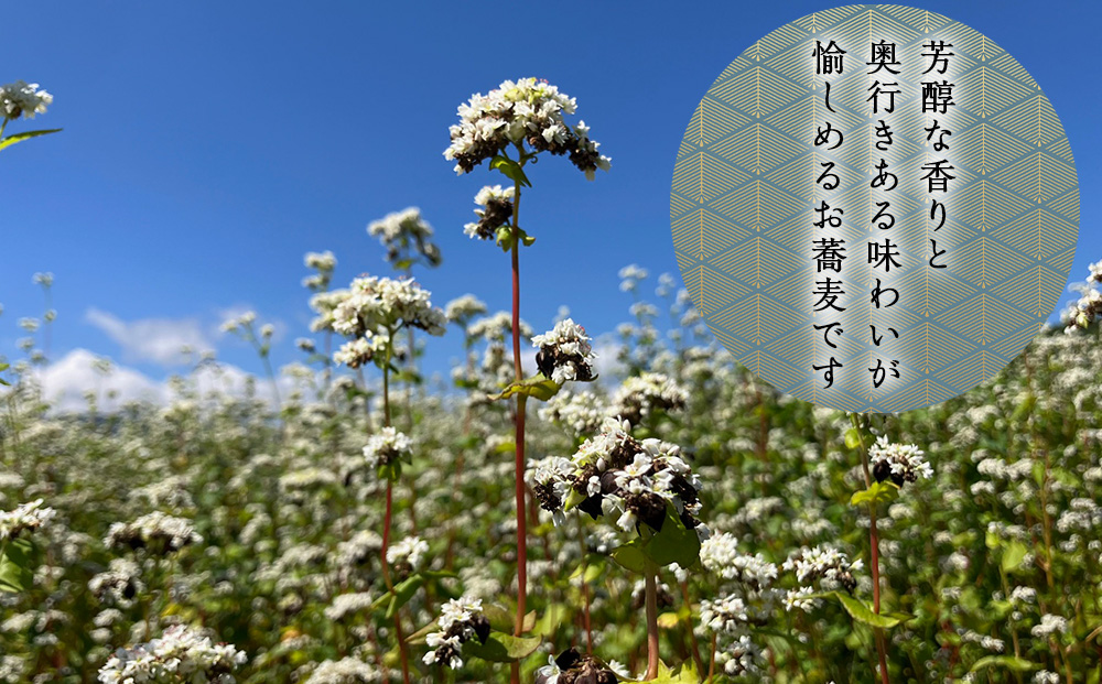 【積丹町そば】10人前≪麺260g×つゆ120g×5セット≫　年越しそば 国産 積丹産 蕎麦 冷凍（SN013）
