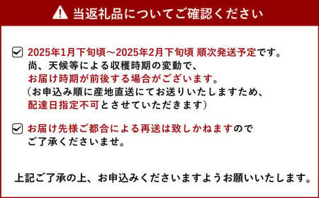 先行予約 みかん 旬の果実 盛り合わせ（化粧箱入り） 3kg 髙橋果樹園【2025年1月下旬から2月下旬発送予定】柑橘 詰め合わせ 