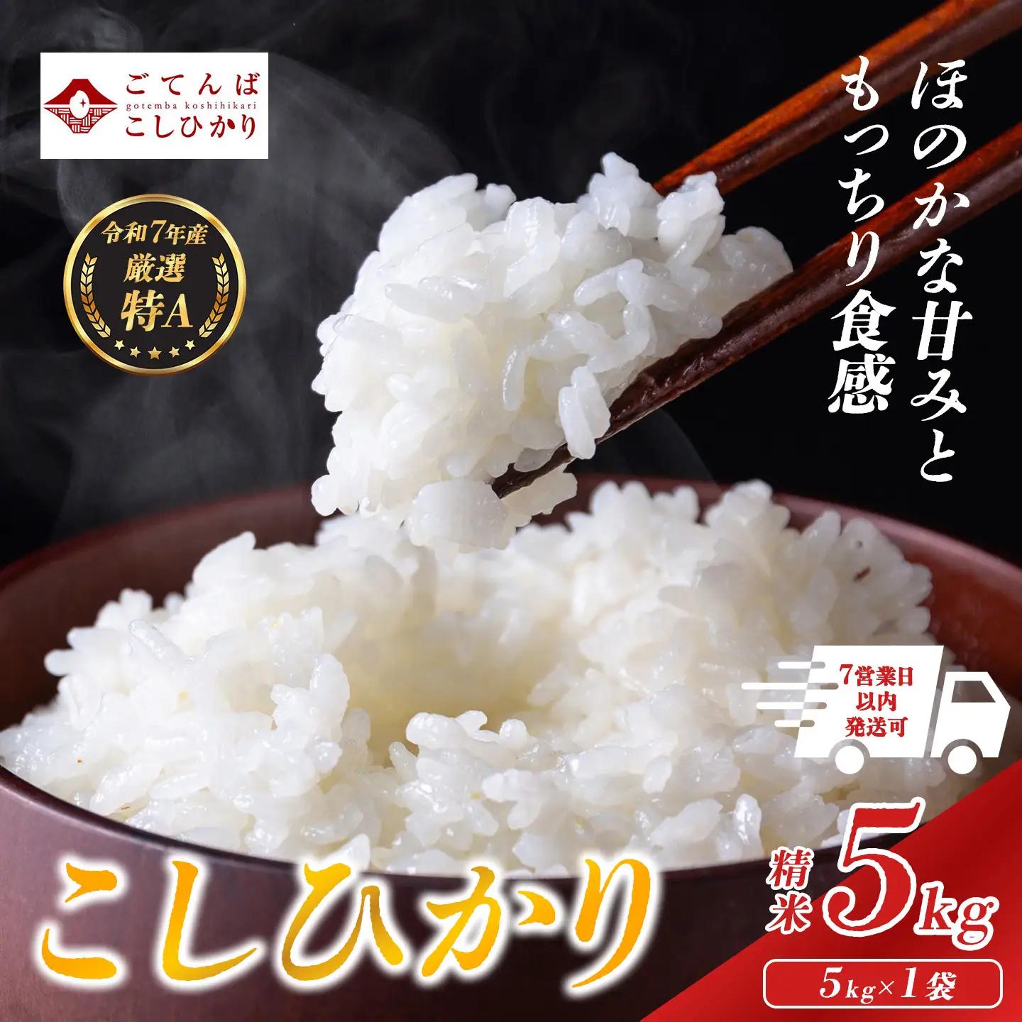 【ふるなびWEEK対象】コシヒカリ 5㎏ 令和7年産 精米 コシヒカリ