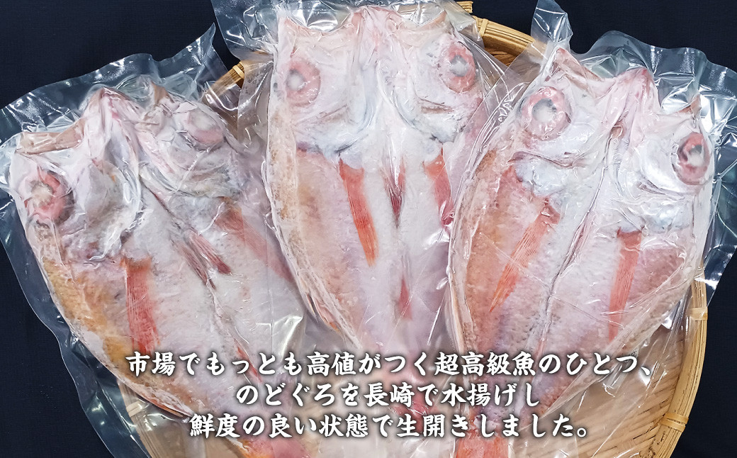 長崎産 のどぐろ開き 3枚 高級 アカムツ 開き