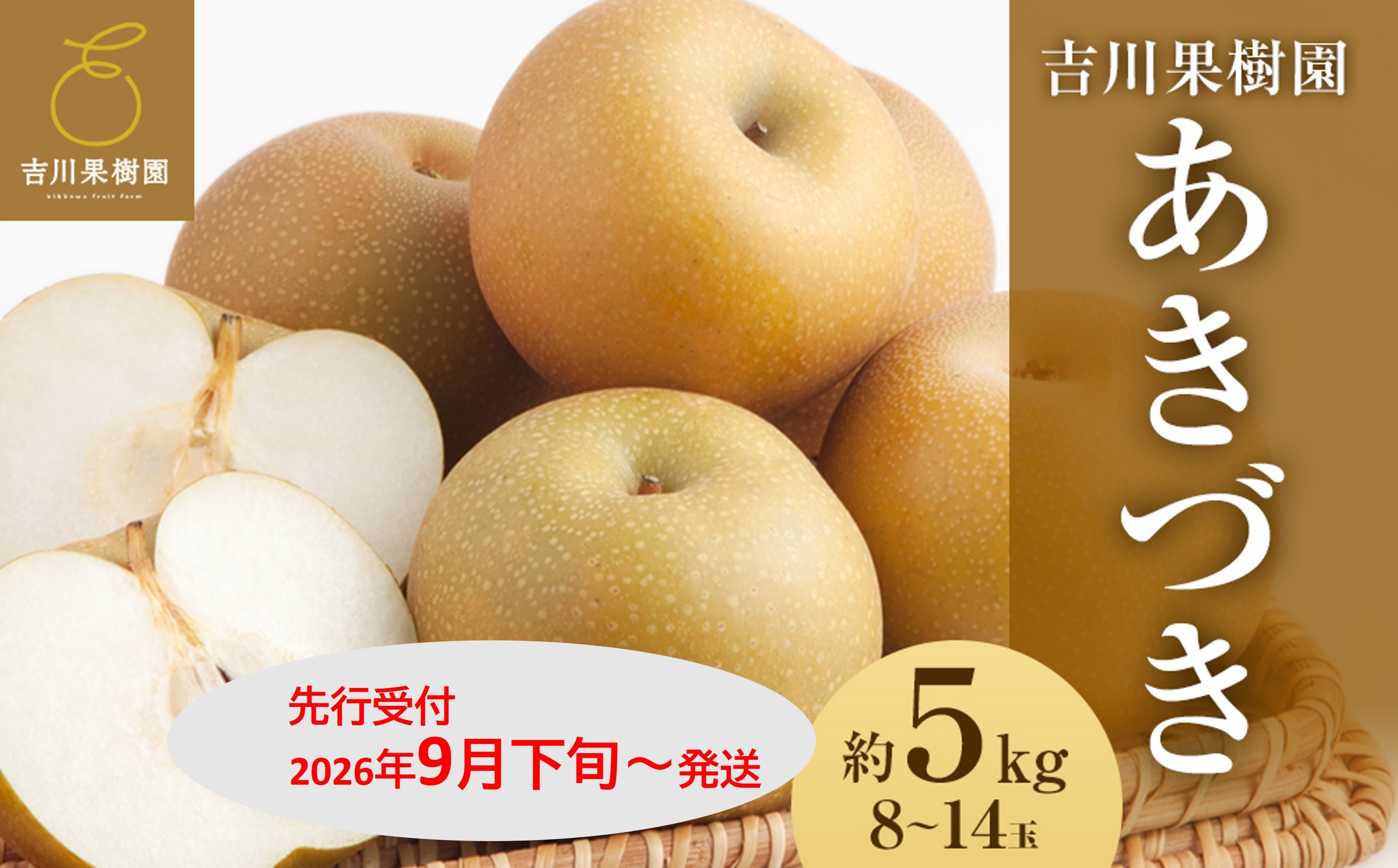 
            【2026年発送分先行予約】あきづき 約５kg（8～14玉）9月下旬～順次発送【吉川果樹園】
          
