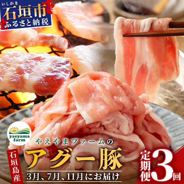 石垣島産 やえやまファームのアグー豚の定期便（3月、7月、11月お届け）【 南ぬ豚 アグー豚 焼肉 食べ比べ 豚肉 石垣 石垣島 沖縄 八重山 やえやまファーム 】 E-30-1