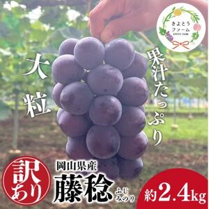 【きよとうファーム】訳あり 種なし ボッケーネ(藤稔) 約2.4kg (岡山県産)【配送不可地域：離島】【1632754】