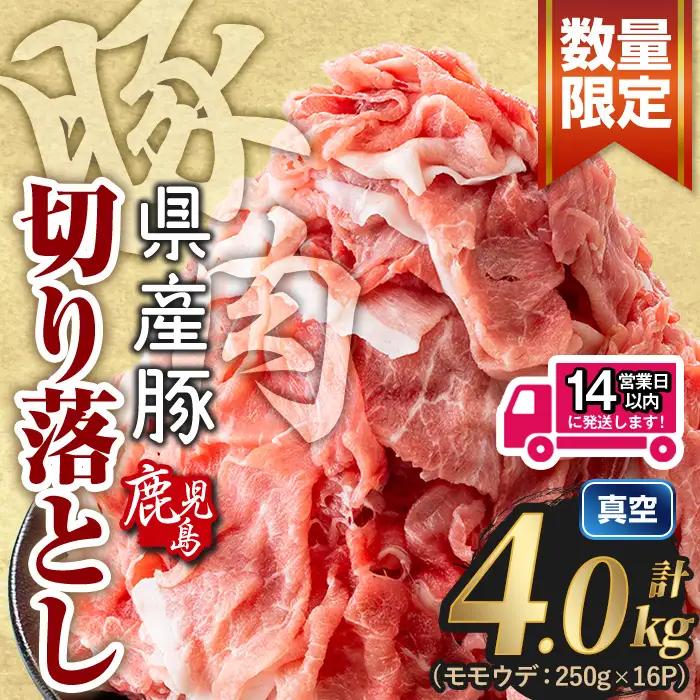鹿児島県産 豚肉 切り落とし (計4.0kg)【Rana】A1017-v02