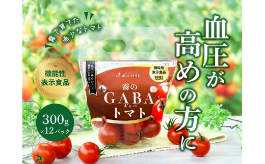 
おいしいだけじゃない！機能性表示食品 霧のGABAトマト 300ｇ×12パック（20-52）
