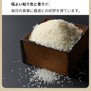 米 コシヒカリ 10kg 精米 白米