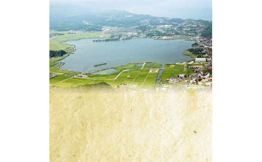 定期便 3回 神西湖産 大和 しじみ 1.25kg (250g×5パック） | 大和 しじみ 貝 砂抜き 冷凍 真空 小分け詰め合わせ お取り寄せ グルメ 栄養 料理 調理 レシピ  島根県 出雲市 ふるさと納税 おすすめ 人気