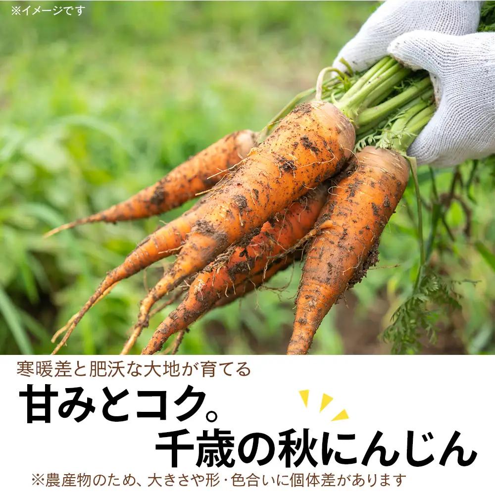 【2026年9月末より発送】北海道産 旬の秋ニンジン 20㎏ 【かねこ農園】