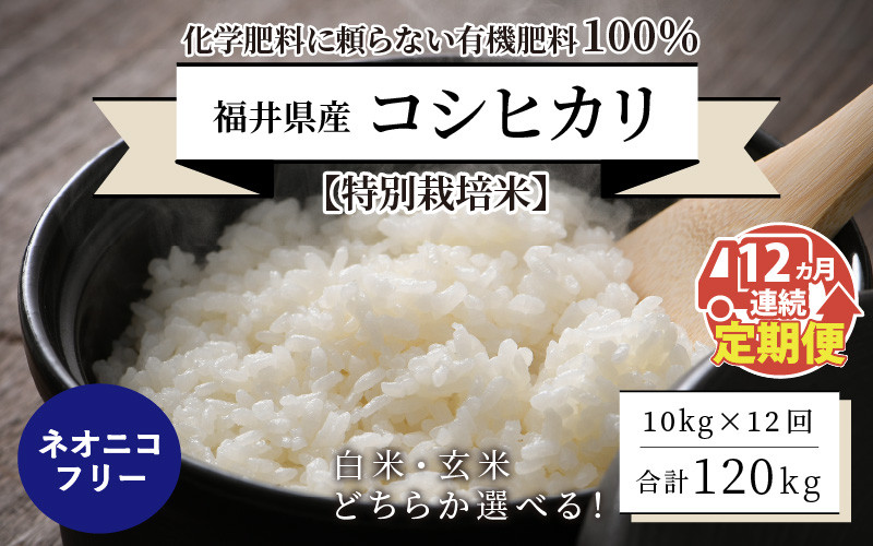 
            【先行予約】【令和7年産・新米】【12ヶ月連続お届け】【特別栽培米】福井県産 コシヒカリ 10kg ～化学肥料にたよらない有機肥料100%～ ネオニコフリー  【2025年10月上旬以降順次発送予定】【 白米 玄米 お米 ごはん ブランド米 こしひかり 10キロ 産地直送 定期便 お楽しみ ふるさと納税米 】 [O-13401]
          