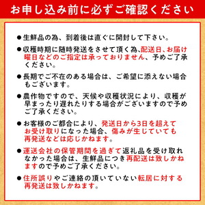 [0.85-318]　石田ファームとうもろこし20本セット