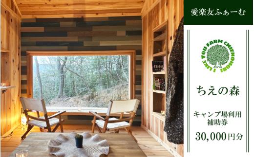 キャンプ場 利用券 30000円分 宿泊券 徳島 観光 旅行 チケット 露天風呂 温泉 キャンプ コテージ テント BBQ アウトドア アクティビティ 旅行券 国内旅行 徳島県 吉野川市 愛楽友ふぁー